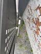 IMG_2276.jpeg
