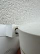 IMG_2117.jpeg