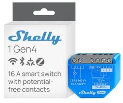 shelly.JPG