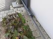20210304_105639.jpg