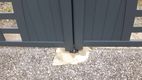 video.mp4
