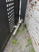 IMG_2277.jpeg