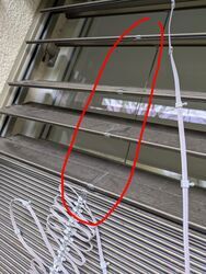 WhatsApp Image 2026-03-07 at 10.46.00.jpeg