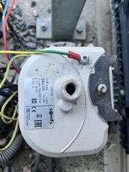IMG_2554.jpeg
