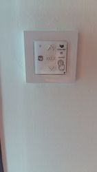 2020-06-29 13.20.13.jpg