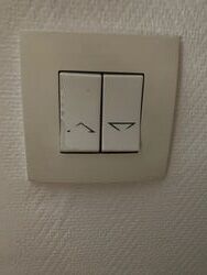 IMG_3156.jpeg