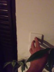 50615251568__065FFFC5-0855-49D2-8538-EFAE9E5748DC.MOV