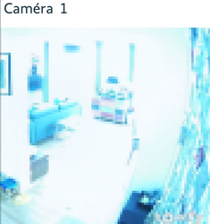 Camera_Obfuscate.png