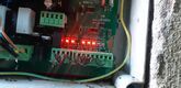 20250623_115239_resized.jpg