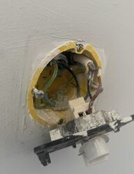 IMG_2503.jpeg