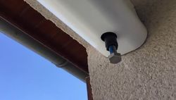 video-1585406417.mp4