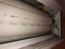IMG_1555.JPEG
