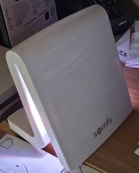 box Tahoma.jpg