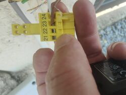 cellule.jpg