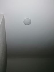 01 - IMG_20260106_100310.jpg