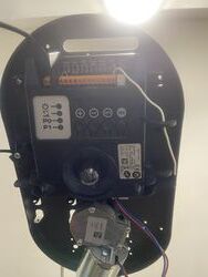IMG_7606.jpeg