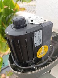 IMG_20250702_081449.jpg
