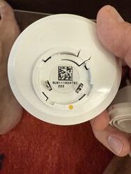 IMG_0604.jpeg