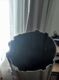 IMG_3503.jpeg