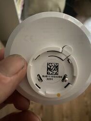 IMG_2183.jpeg