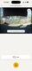 IMG_8595.jpeg