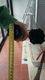 IMG-20171211-WA0001.jpg