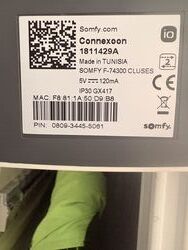 IMG_7219.jpeg
