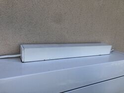 IMG_8666.jpeg